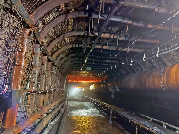 1651114899117183.jpg ÏÖ³¡Í¼.jpg