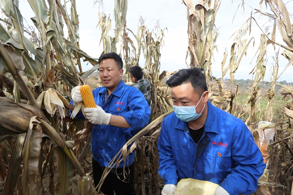 1657074401195085.jpg 2.JPG