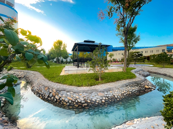 ̬ ɫ (ߣ  лΰ) (2).jpg