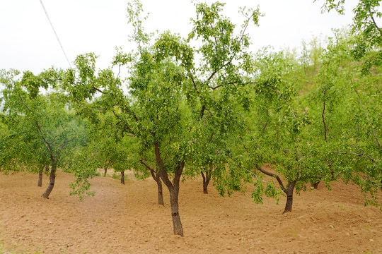 1683626055198525.jpg 配图.jpg