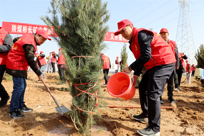 1710150991199848.jpg 33.jpg