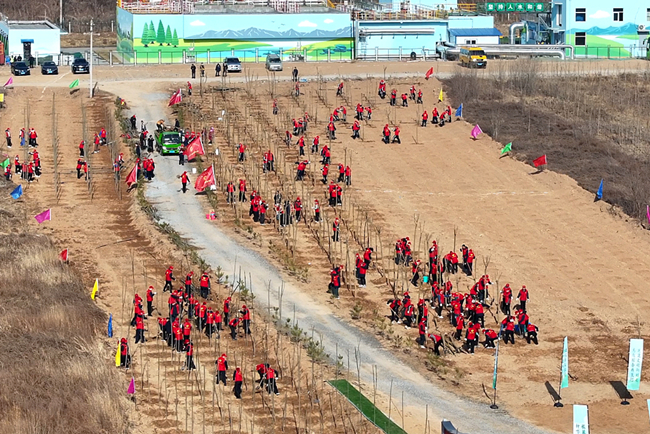 1710151072198495.jpg 9.jpg