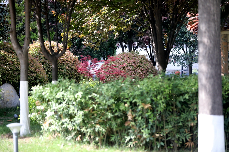 1713412342128430.jpg ΢ÐÅͼƬ_20240418105604_¸±±¾.jpg