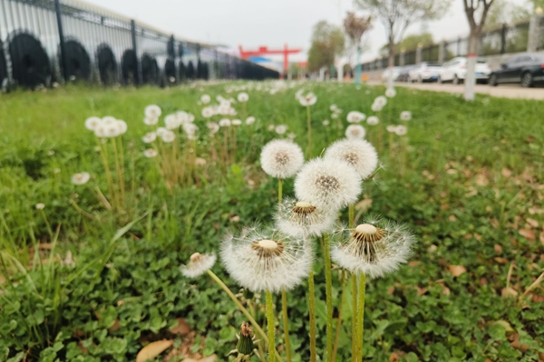 ��ͼ (2)_����.jpg