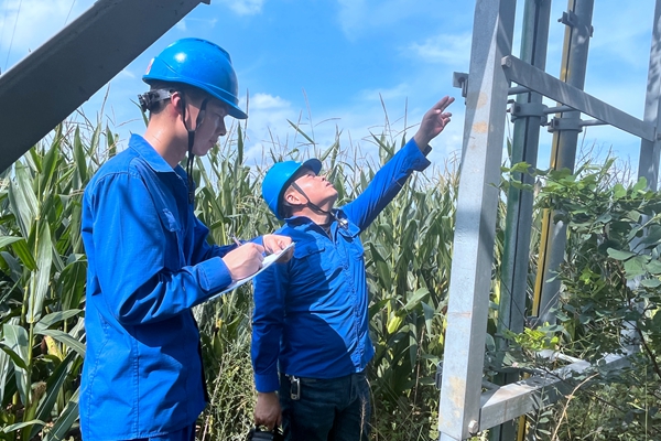 1725263939141707.jpg Ïß·Ѳ²é_¸±±¾.jpg