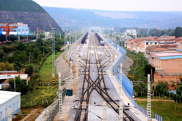 8 Ψһ徲׼˫һ·רҵ_.jpg