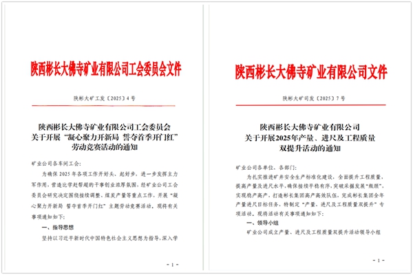 1737172245292211.jpg 1_¸±±¾.jpg