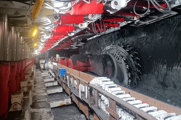 1737620088140897.jpg 3_¸±±¾.jpg