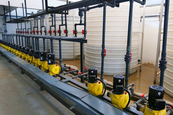 1742523827126995.jpg IMG_5521_¸±±¾.jpg