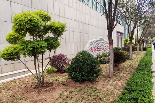 1745565742157461.jpg 2_¸±±¾.jpg