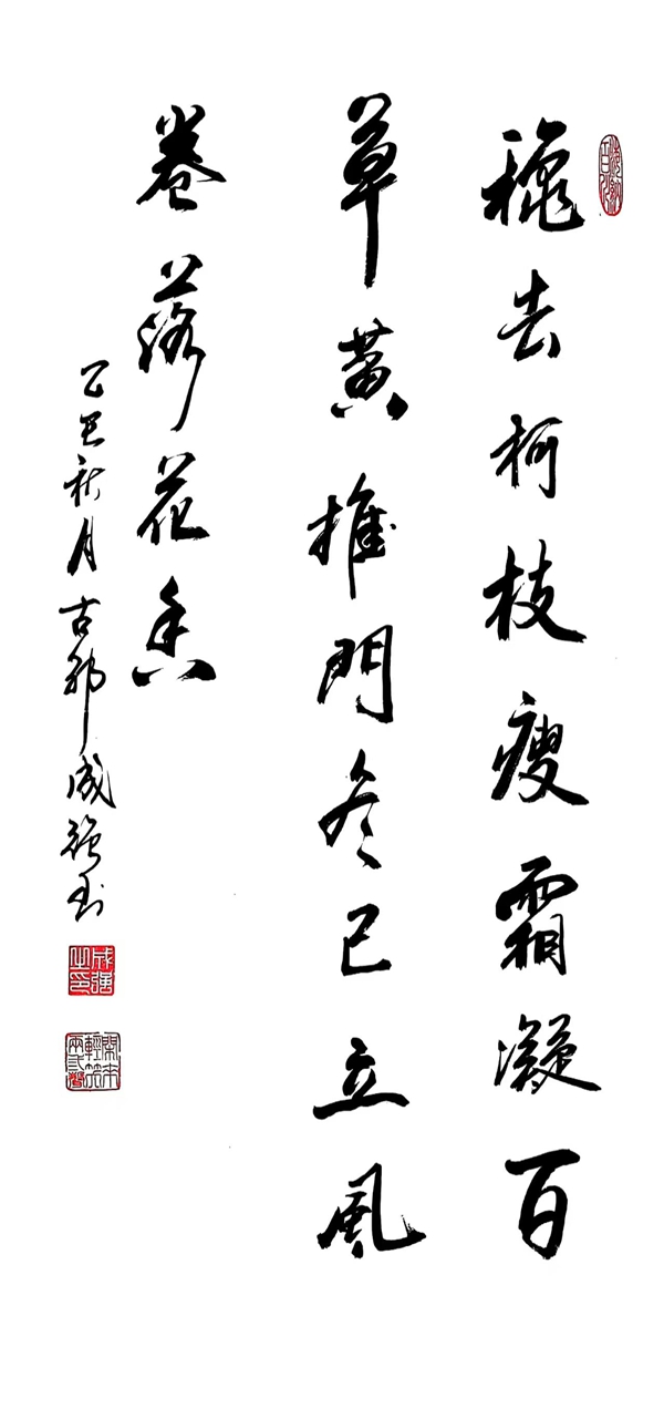 1762504815367343.jpg
