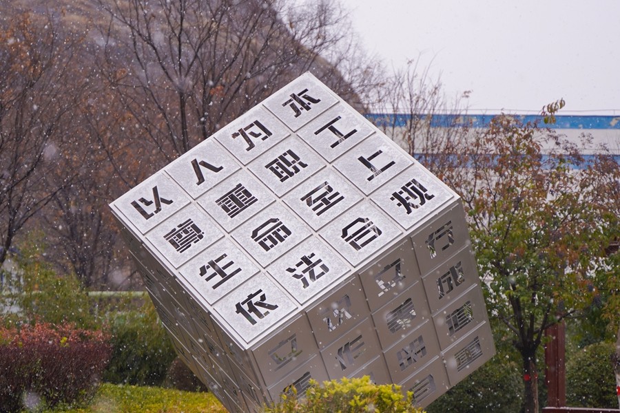 1765533389201130.jpg