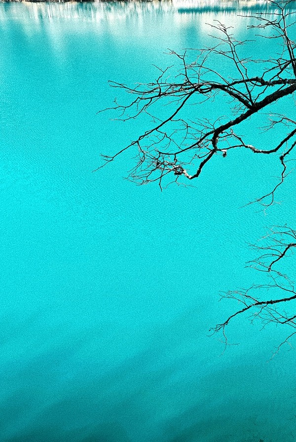 1771918425971472.jpg