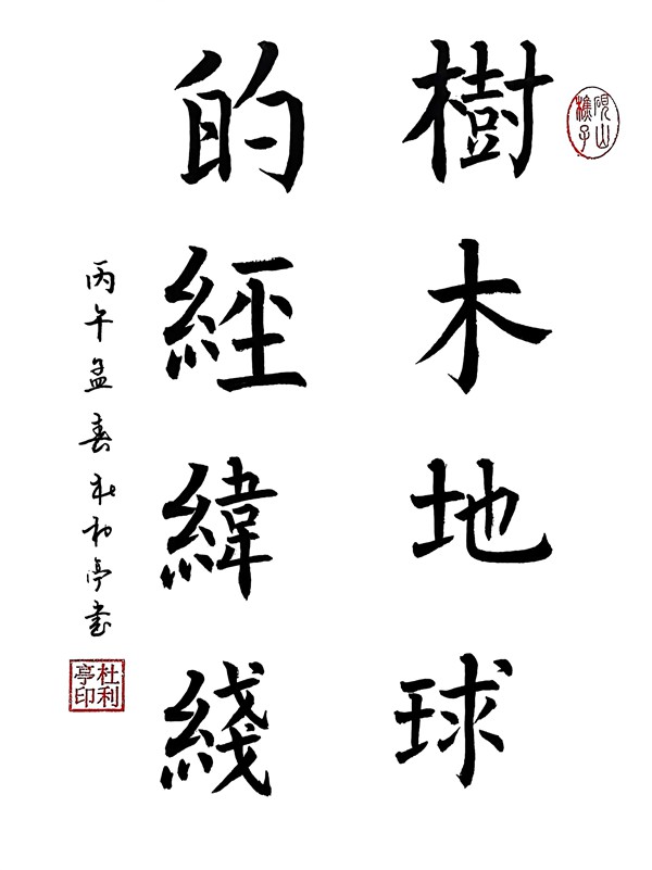 1773303098626974.jpg 树木地球的经纬线_副本.jpg
